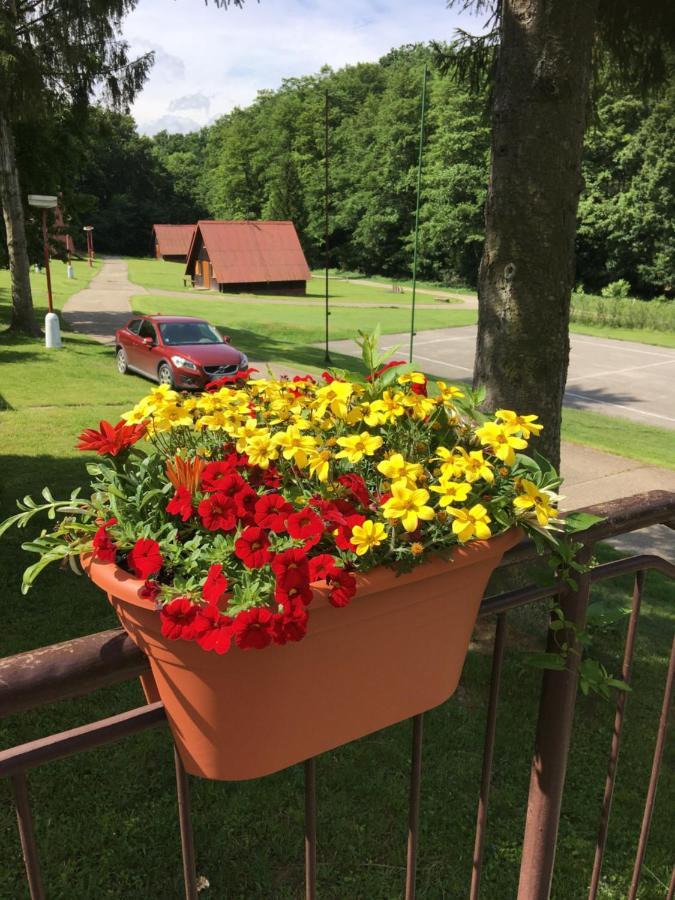 Záruby Resort Smolenice Esterno foto